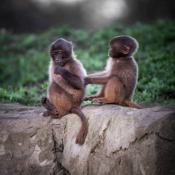 Photo taken in Mysore, India