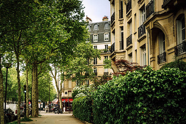 A tranquil Paris street scene framed by leafy trees and elegant Parisian buildings. A hedge-lined sidewalk leads to a charming cafe, capturing urban charm, European atmosphere, and timeless architectural beauty.