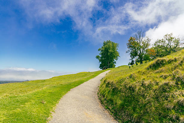 Bright countryside trail leads upward beneath clouds landscape outdoor nature