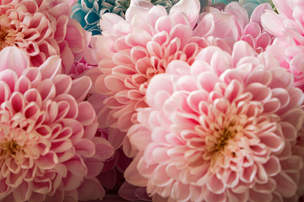 Delicate Pastel Floral Texture
