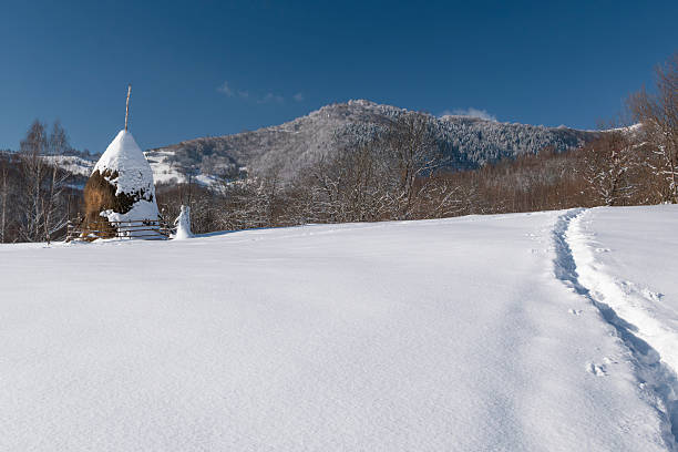 Traditional haystack standing in a snow covered rural mountain landscape, with a narrow footpath leading across fresh snow toward forested hills. Clear blue sky, untouched winter scenery, and authentic countryside elements create a calm and timeless atmosphere. Ideal for travel and tourism advertising, rural lifestyle concepts, sustainability themes, winter backgrounds, and conceptual storytelling