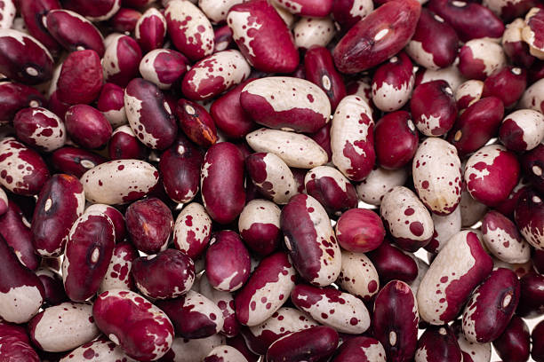 raw red with white speckled kidney beans