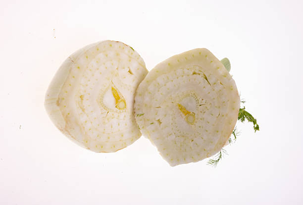 Healthy and juicy fennel bulb