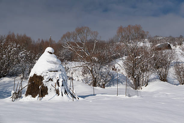 Traditional rural haystack standing in a snow covered mountain landscape, surrounded by bare trees and forested hills under a clear blue winter sky. Clean composition and authentic countryside elements highlight agricultural heritage, sustainable living, and timeless rural life. Ideal for travel and tourism advertising, farming and agriculture concepts, cultural heritage, winter backgrounds, and editorial storytelling.