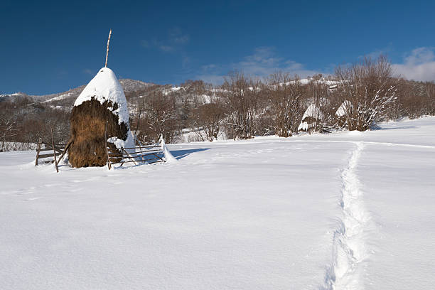 Traditional rural haystack standing in a snow covered mountain landscape, surrounded by bare trees and forested hills under a clear blue winter sky. Clean composition and authentic countryside elements highlight agricultural heritage, sustainable living, and timeless rural life. Ideal for travel and tourism advertising, farming and agriculture concepts, cultural heritage, winter backgrounds, and editorial storytelling.