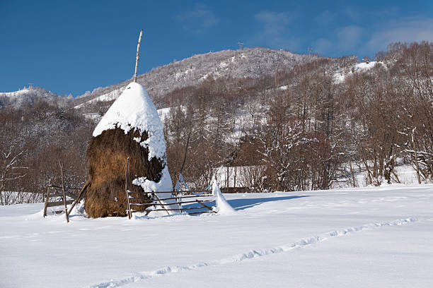 Skrapar Verzhezhe, Albanian village