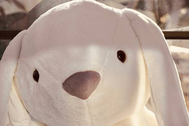 A vertical, high-angle close-up of a soft, white plush bunny. The image features warm, natural sunlight casting gentle shadows across the toy's face, highlighting its fuzzy texture and minimalist design. The neutral tones and peaceful expression create a sense of comfort, security, and childhood innocence. Ideal for nursery decor, parenting blogs, and toy marketing.