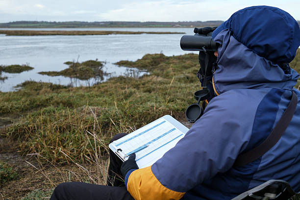man wildlife researcher makes field observation with a spotting scope standing among the tall grass