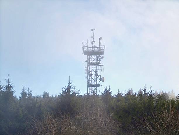 Cell tower rising above forest, misty clouds drifting across pale sky, evergreen trees framing steel mast