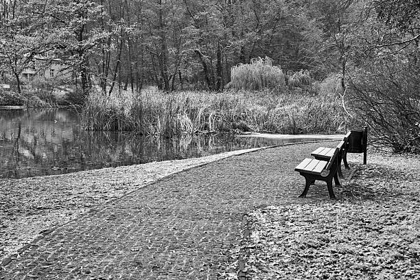 Park bench facing clouds black and white
