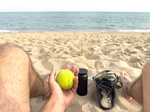 One person sitting on a sandy beach looking at the ocean, holding a tennis ball, with a dog leash and water bottle resting nearby, enjoying a summer vacation