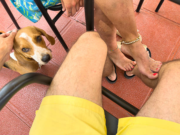 The leg hair of a man wearing sandals.