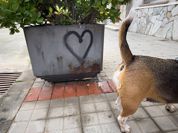 Dog walking on a sidewalk beside a concrete flower pot with a black sprayed heart graffiti and green plants, creating an urban scene with a touch of street art