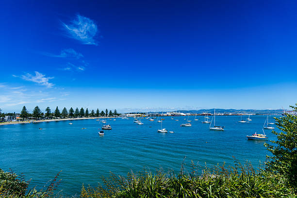 Leisure vessels rest near shore under clear sky seaside shoreline marina yachts