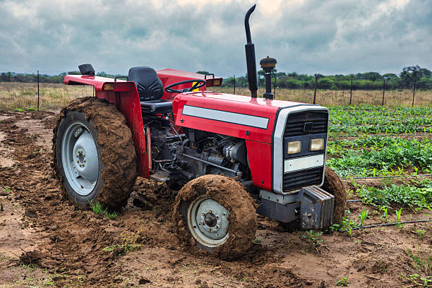 two-wheel drive farm tractor with mud-caked tires is parked next to a planted field, agricultural work in challenging, wet conditions in a field of watermelon plants with a drip irrigation system