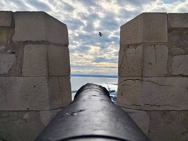 Cannon aimed toward sea horizon between weathered stone bastions under overcast sky, seagull in flight,
