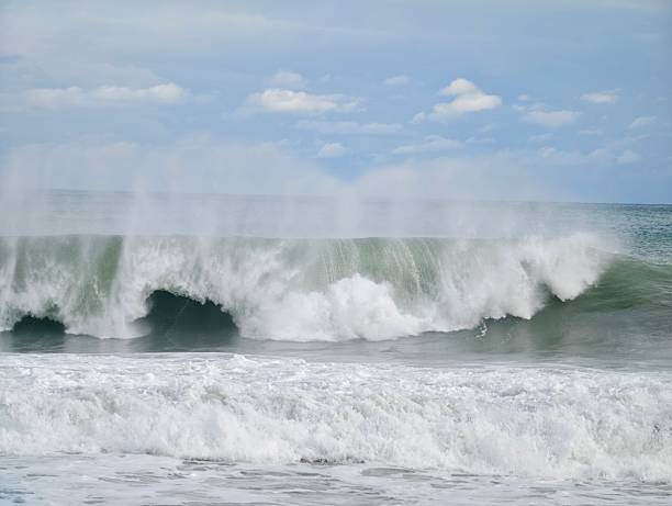 Location:  Kuroshio Town, Hata District, Kochi Prefecture, Japan