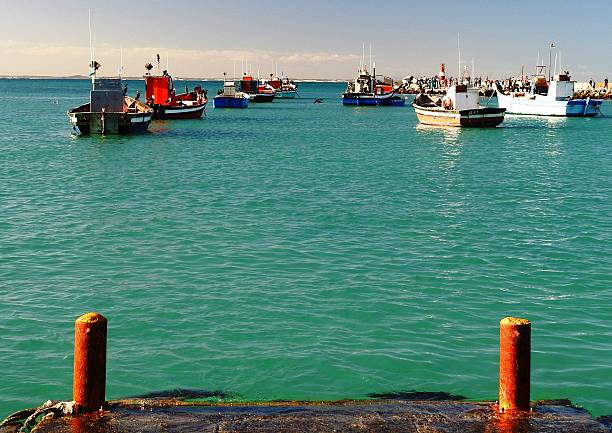 Miquelon town, Miquelon Island, Saint Pierre et Miquelon: the fishing industry on Miquelon Island, part of the French overseas collectivity of Saint‑Pierre and Miquelon, remains the backbone of the local economy. Traditional fisheries—particularly cod, crab, and lobster—have long supported the community, though stocks and quotas are tightly regulated under French and Canadian agreements. Most fishing is small‐scale and seasonally based, with vessels often licensed to operate under the territorial fishing regime. The catch is generally sold to processors in Saint‑Pierre or exported to mainland France via licensed channels. While the sector has declined from its mid‑20th‑century peaks due to diminished fish stocks and shifting fishing regulations, it still provides employment for a significant portion of the island’s population and underpins ancillary services such as boat maintenance, gear supply, and local transportation. The territory continues to seek diversification—developing tourism and small‑scale agriculture—but fishing remains central to Miquelon’s cultural identity and economic resilience.