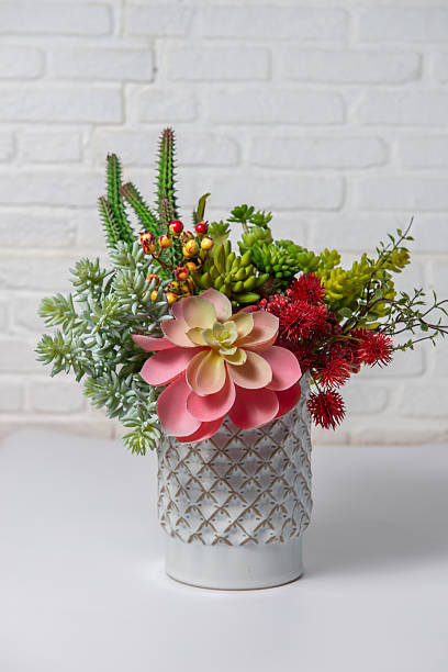 Brightly colored flower pots on a white background, with a concrete wall behind them.