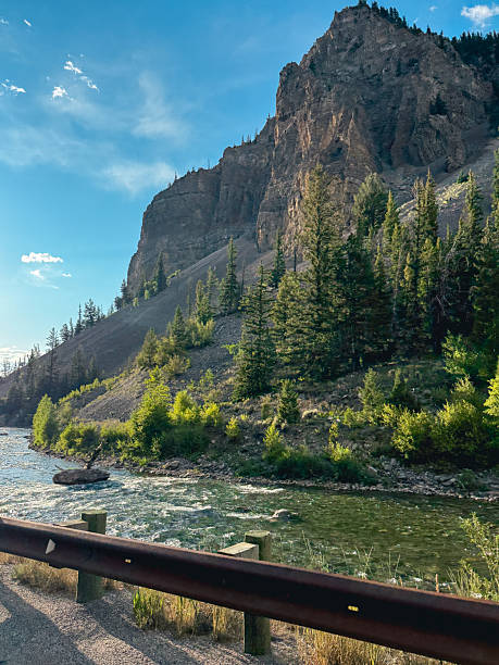 Mountain river flowing past a large rock formation and pine forest on a sunny day