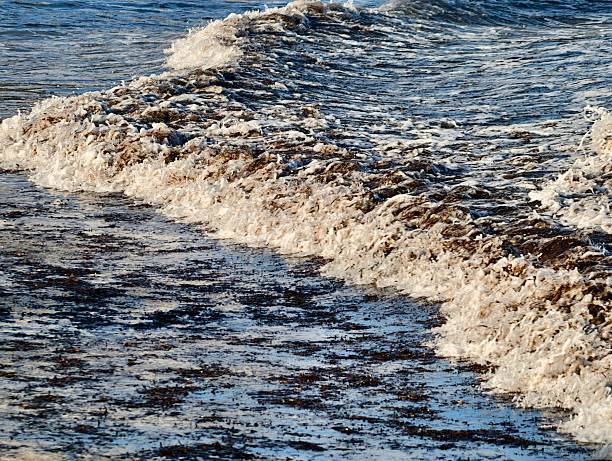close up textured surf with frothy seafoam, rhythmic crests and whitecaps creating abstract patterns, ideal