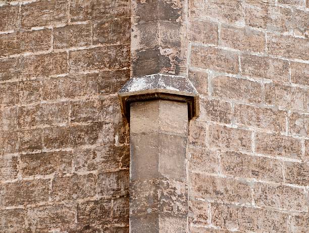 Gothic architectural elements showcase detailed stone carvings at Notre-Dame de Paris, highlighting historical artistry.