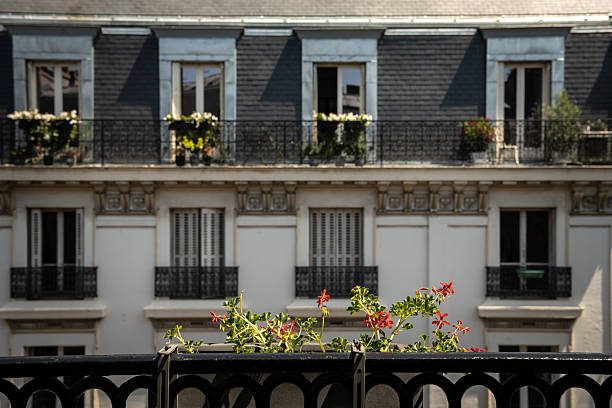 A quiet Parisian scene viewed from a balcony, where small red flowers grow along a black iron railing in the foreground. Across the street, a classic Haussmann-style residential building fills the frame, with symmetrical windows, pale stone façades, dark slate roofing, and wrought-iron balconies.