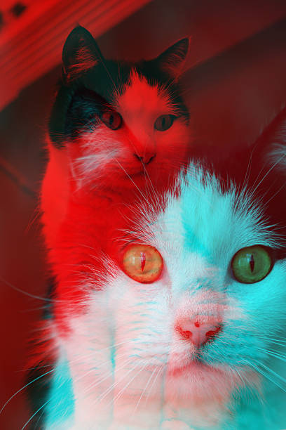 A stylized conceptual image of two domestic cats featuring a vibrant double exposure effect with cyan and red color shifts creating a modern artistic pet photography aesthetic