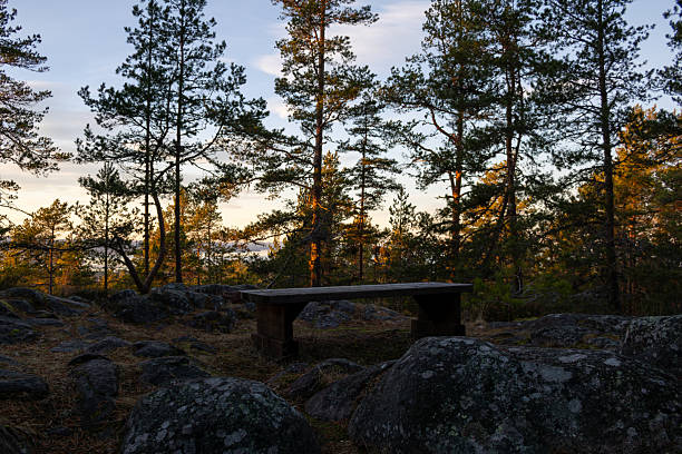 A bench sits among trees and rocks as the sun sets, casting light through the branches in the wilderness.