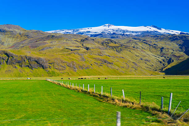 Seljalandsfoss waterfall in Iceland