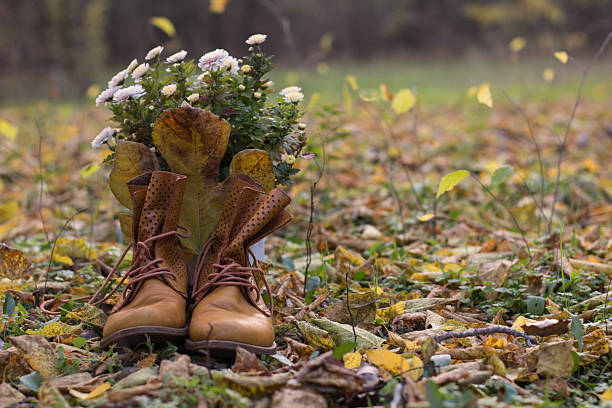 Fall concept photo of brown leather boots with leaf and white chrysanthemum flowers in the background outdoors in the forest.