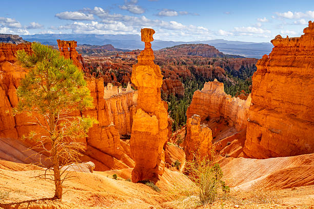 Thor's Hammer in Bryce Canyon National Park during Sunrise