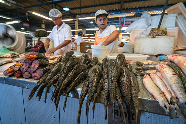 Manaus, Brazil – March 8, 2019: Fish market scenes
