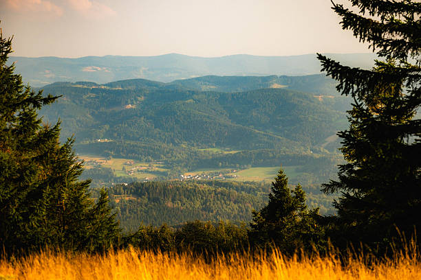 Golden Grass Frames Mountain Valley View With Layered Blue Ridges, Scattered Pines, Warm Golden Hour Light