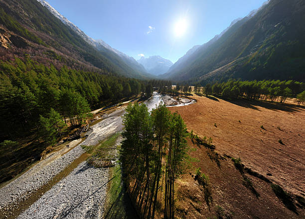 Aerial drone view of a gorge overlooking a forest and a mountain river surrounded by tree-covered cliffs. A sunny day in the high mountains.