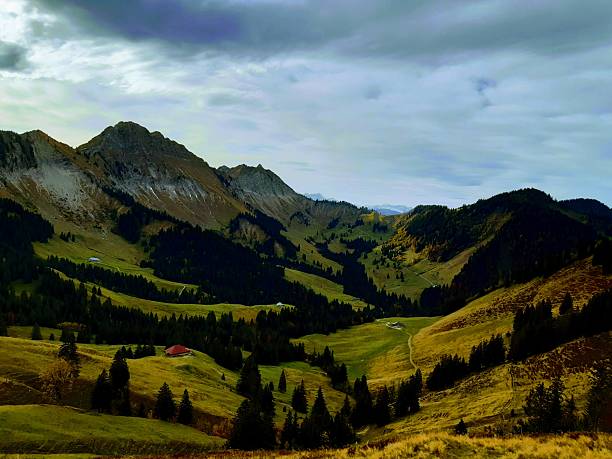 A picturesque view of a lush green and gold valley in the Swiss Prealps, featuring a small red-roofed chalet nestled amongst evergreen forests and steep mountain slopes under a moody sky.