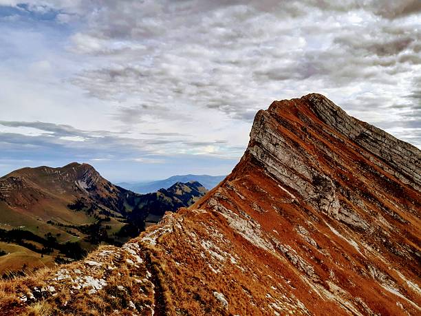 A narrow hiking trail follows a steep, rocky mountain ridge towards a sharp peak under a cloudy sky. The landscape is covered in vibrant orange and brown autumnal grass, showcasing the geological strata of the Fribourg Prealps in Switzerland.