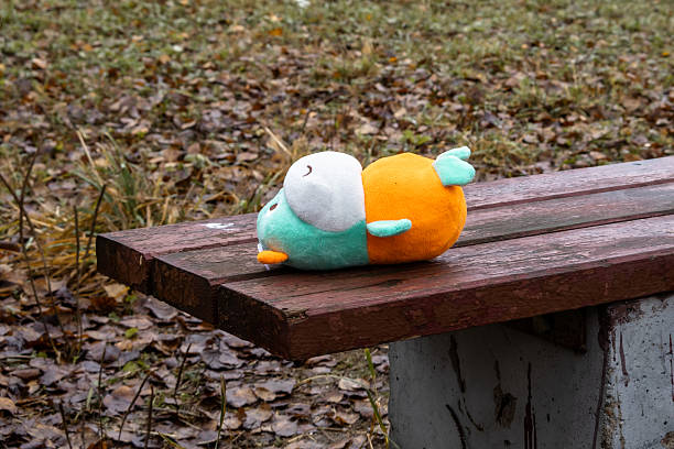 Stuffed toy with stitched face lies on wooden bench. Fallen leaves and grass visible on ground.