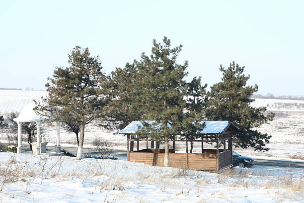 A small building with trees in the snow. Tree. Outdoor. Sky. Snow. Activity