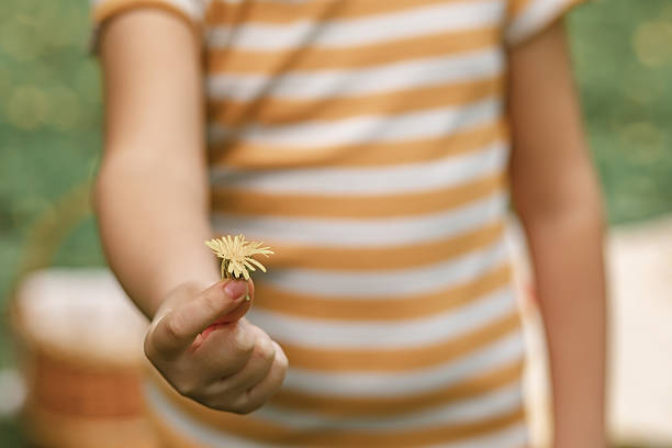 Kid hand holding a yellow flower dandelion outdoor