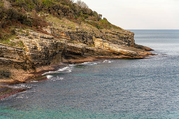 Sardala Cove is located in Kandıra, Kocaeli, where clear turquoise water meets a rocky coastline and low coastal vegetation under natural daylight.