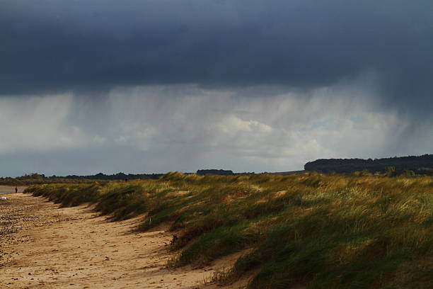 Dark sky with rain showers dropping onto Titchwell beach and neighbouring grassland