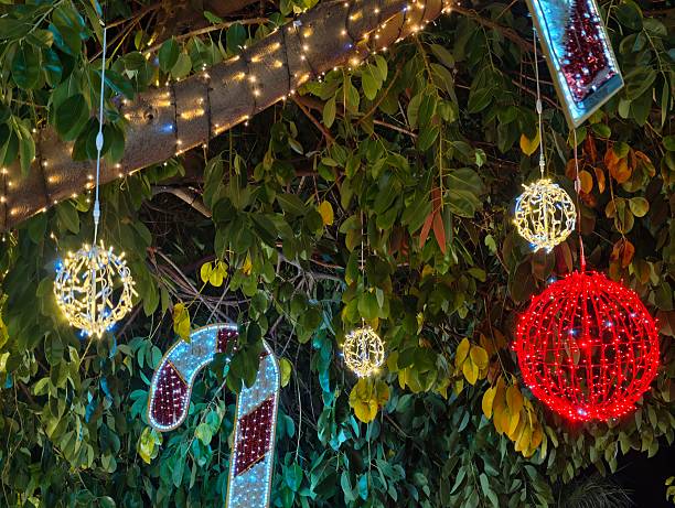 Colorful hanging decorations combined with natural foliage for joyful outdoor holiday display