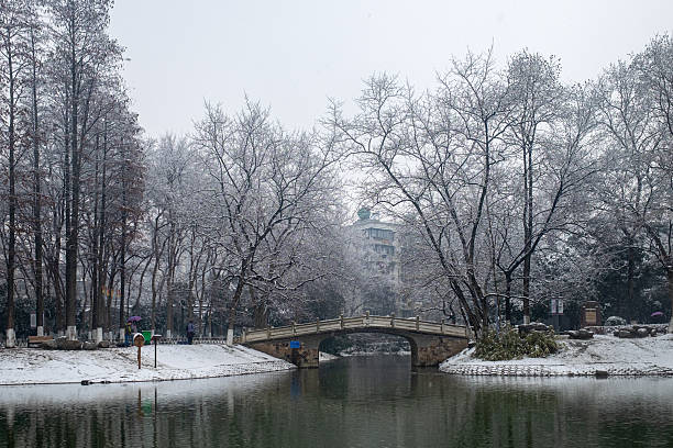 A wide panoramic view of a snow-covered park landscape. A stone arch bridge spans the calm water, surrounded by a dense forest of frosted trees under a cloudy winter sky, representing a winter wonderland.