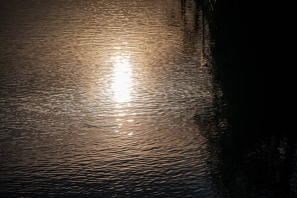 The evening sun is reflected in the moving surface of the water.