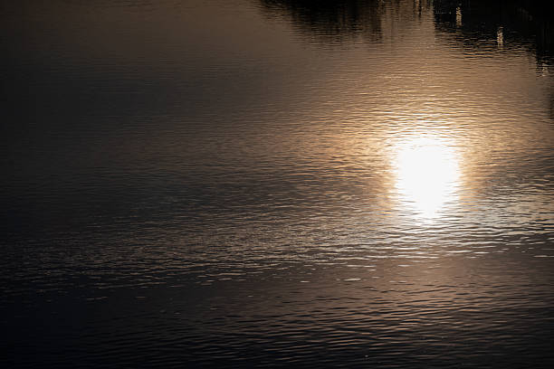 The evening sun is reflected in the moving surface of the water.