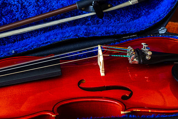 Violin and bow on white background