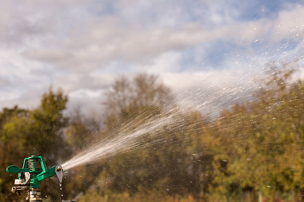 Lawn sprinkler