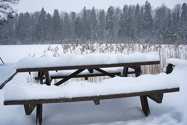 Embrace the stillness of winter with this snow-draped picnic table by a frozen lake and dense forest in Estonia. Ideal for travel, nature, and seasonal concepts.