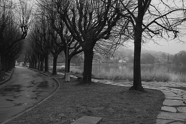 Black and white view of a tree-lined pathway running alongside a calm lake. Repeating trunks, soft reflections, and misty distance create a quiet, atmospheric scene conveying journey, solitude, and contemplation.